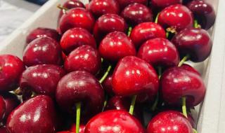 烟台大樱桃 烟台大樱桃